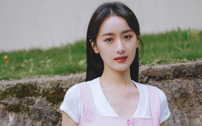 Viên Băng Nghiên lần đầu lộ diện sau ồn ào trốn thuế Ảnh 2