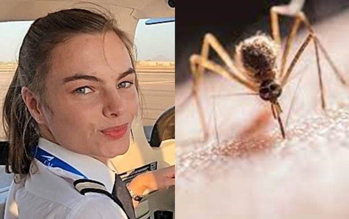 Cô gái 21 tuổi tử vong chỉ vài ngày sau khi bị muỗi đốt vào trán Ảnh 2