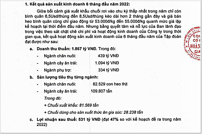 HAGL của bầu Đức lãi 531 tỷ đồng sau nửa năm Ảnh 1