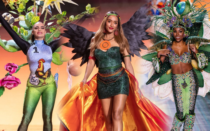 Đồ dân tộc 'trời ơi' của thí sinh Miss Supranational: Cồng kềnh, điểm nhấn kém duyên vùng nhạy cảm Ảnh 2