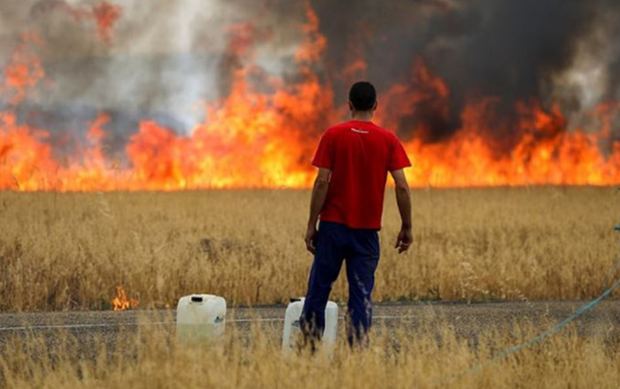 Nắng nóng như tận thế ở châu Âu, hơn 1.000 người tử vong Ảnh 2