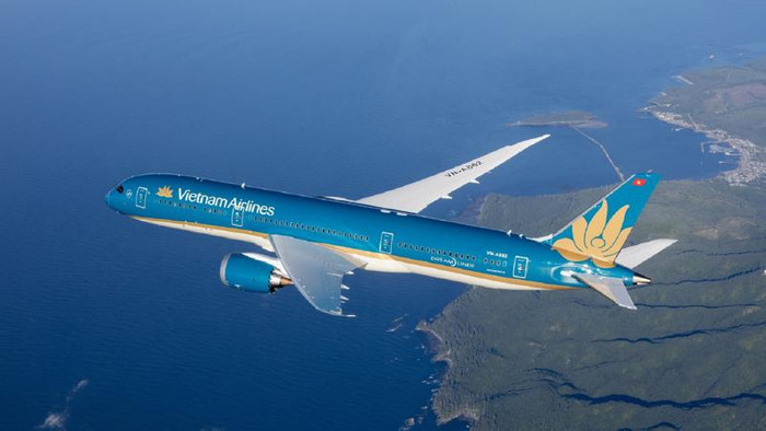 Máy bay vừa cất cánh đã quay đầu hạ cánh khẩn cấp, Vietnam Airlines nói gì về sự cố? Ảnh 1