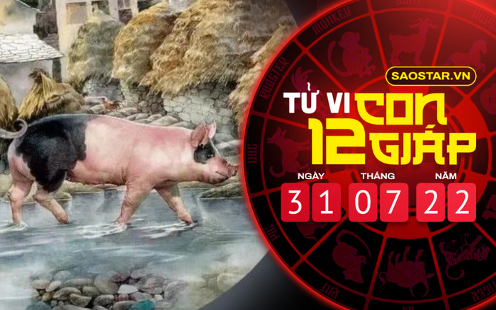 Tử vi hôm nay Chủ nhật ngày 31/7/2022 của 12 con giáp: Hợi bất an vì tài chính lên xuống thất thường Ảnh 2