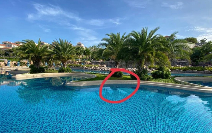 Thực nghiệm điều tra vụ bé trai người Nhật bị hút vào tấm lưới hồ bơi Ảnh 2