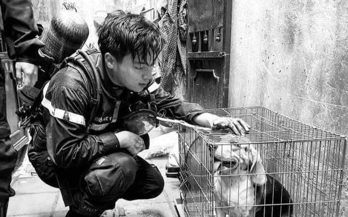 Nam diễn viên 'Lửa Ấm' xót xa chia sẻ về người bạn thân hy sinh trong vụ cháy: 'Cậu ấy hiền, tốt bụng...' Ảnh 2