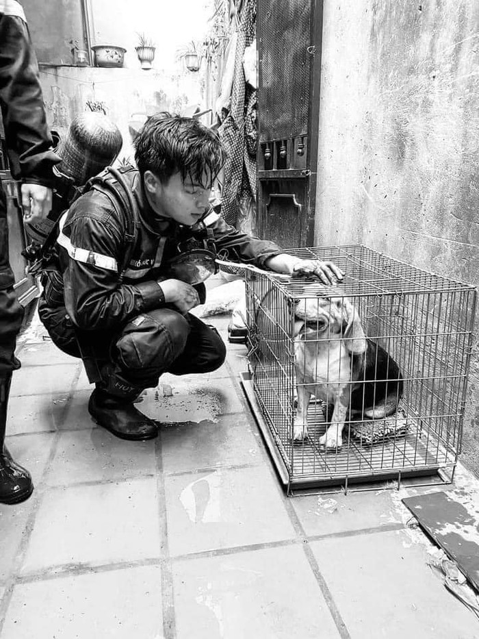 Bức ảnh được nam diễn viên Trần Việt Hoàng chia sẻ. Ảnh: Facebook Trần Việt Hoàng.