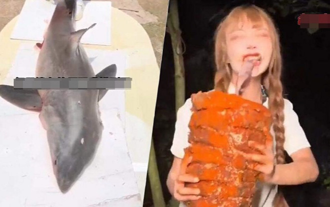Câu view bất chấp, nữ Vlogger có nguy cơ đối diện với án tù vì ăn thịt cá mập trắng Ảnh 2