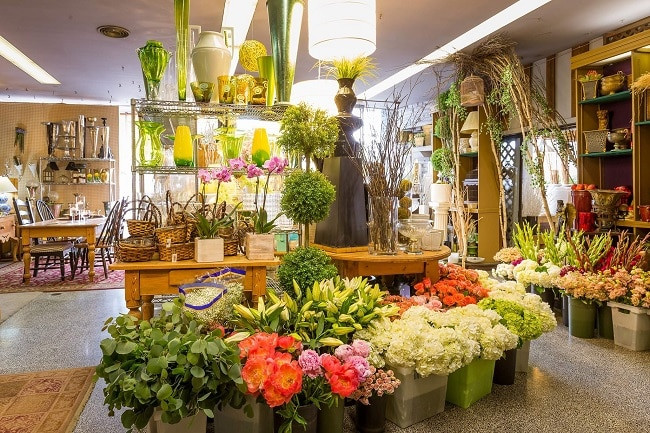  Những ngành học 'có một không hai' trên thế giới Ảnh 6