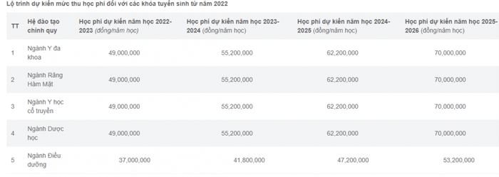Học phí ngành y, dược tăng mạnh, có lo bỏ lọt thí sinh 'giỏi nhưng không giàu'? Ảnh 2