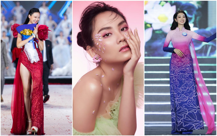 Bảng thành tích học tập 'khủng' của các người đẹp tại Miss World Vietnam 2022 Ảnh 2