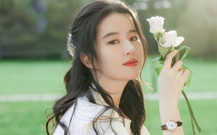 Bị chê làm màu vì điều động 500 nhân viên bảo vệ, Lưu Diệc Phi lập tức được fan lên tiếng thanh minh Ảnh 2