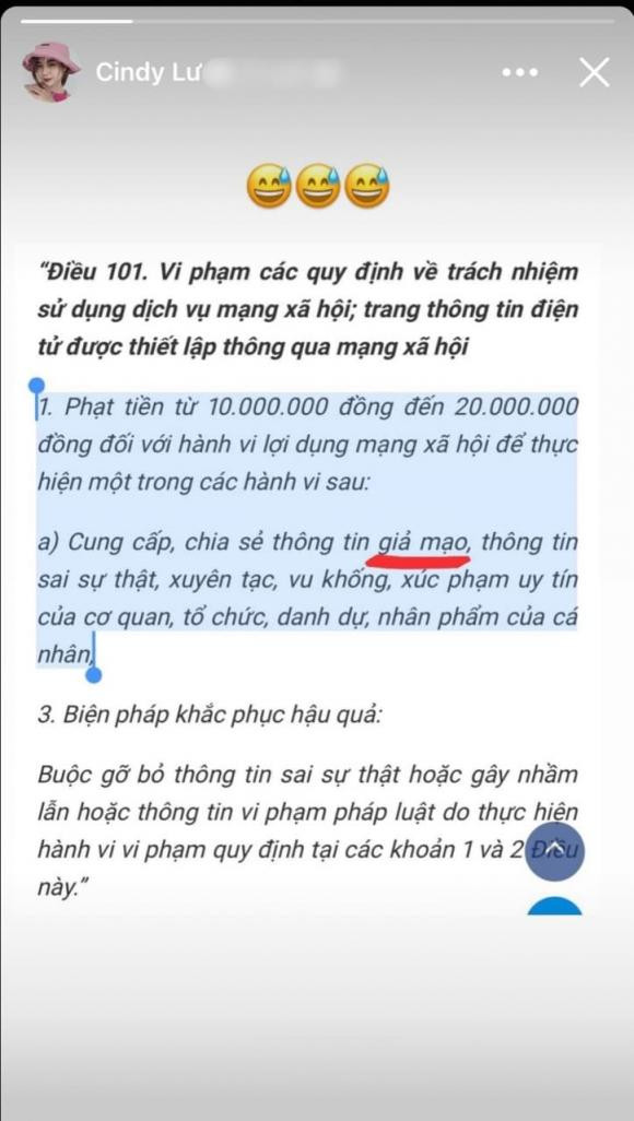 Vợ cũ đáp trả tin đồn nói xấu Hoài Lâm: Vu khống mình can thiệp pháp luật Ảnh 5