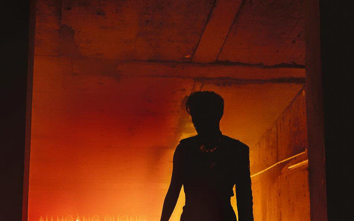 Một nam ca sĩ bị rách quần ngay 'chỗ hiểm' chỉ vì tập gym quá sung Ảnh 2