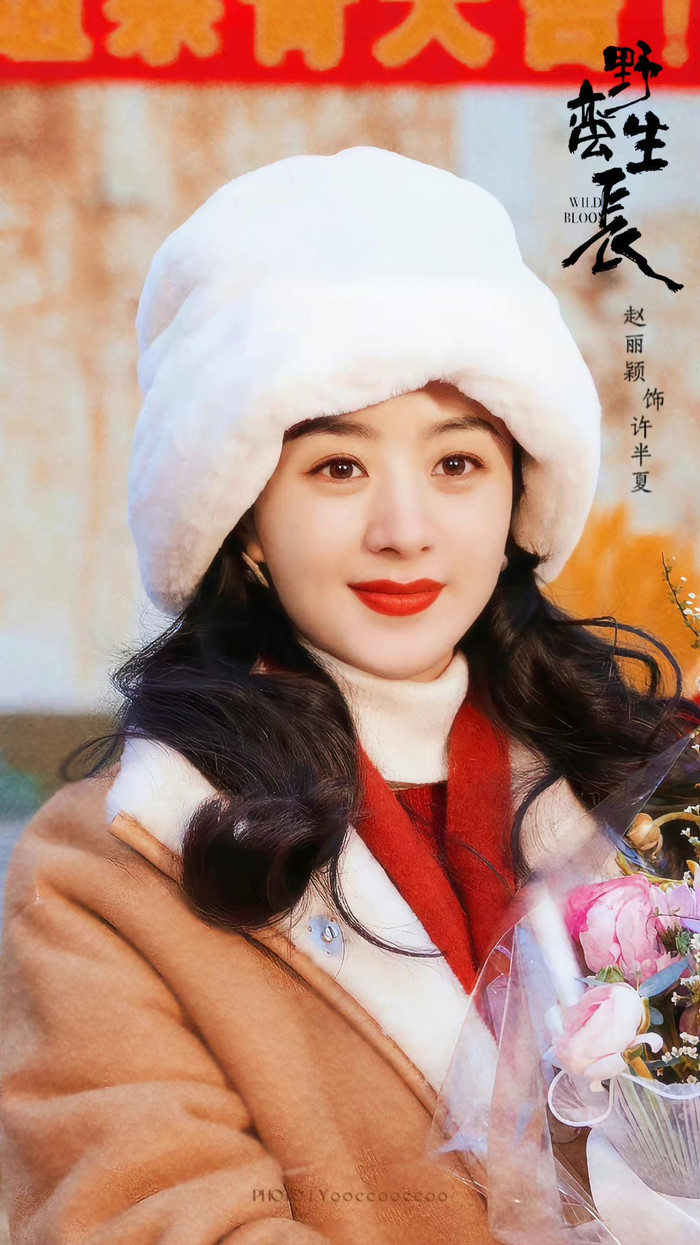 Sau thành công với vai Hà Hạnh Phúc, người hâm mộ đặt kỳ vọng lớn ở vai diễn của Triệu Lệ Dĩnh trong phim mới.