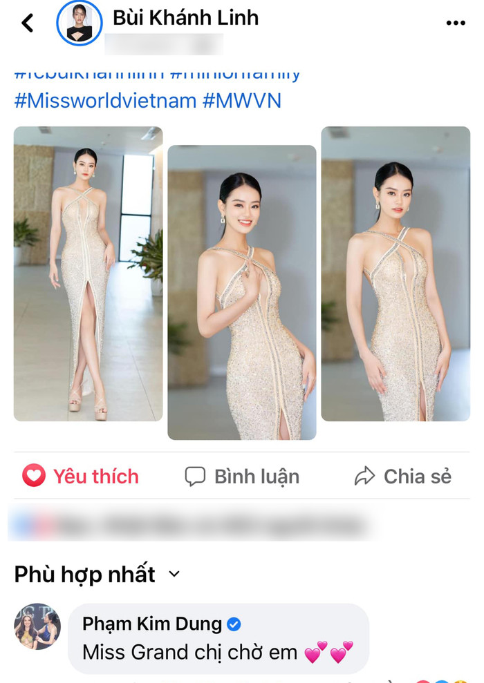 Netizen phản ứng ra sao khi Bùi Khánh Linh được gợi ý đi thi Miss Grand Vietnam? Ảnh 2