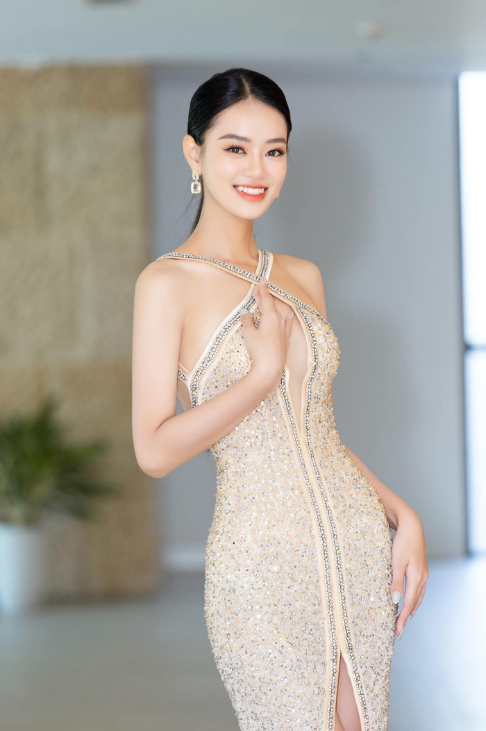 Netizen phản ứng ra sao khi Bùi Khánh Linh được gợi ý đi thi Miss Grand Vietnam? Ảnh 3