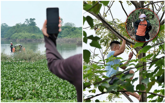 Tìm kiếm cô gái ở Hà Nội mất tích: Nhiều người trèo cả lên ngọn cây livestream Ảnh 2