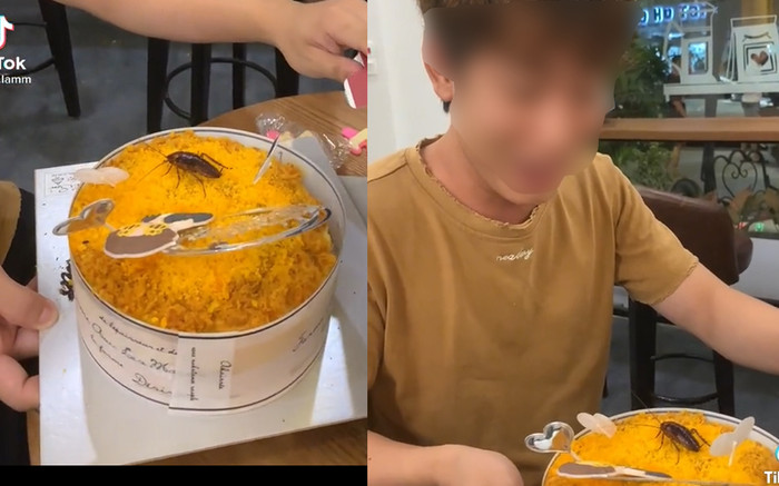 Hớn hở mở bánh kem sinh nhật, chàng trai 'suýt ngất' khi thấy chú gián nằm chễm chệ! Ảnh 2