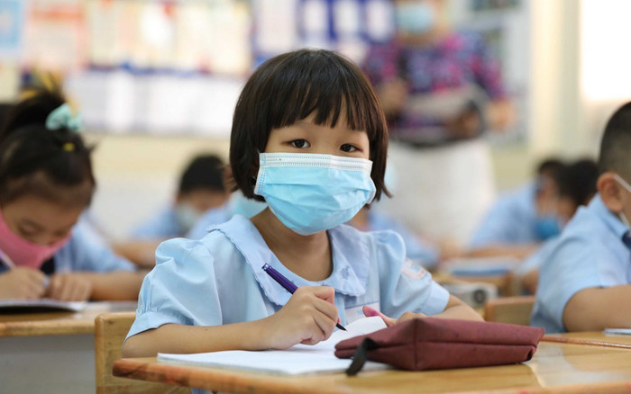 TP.HCM tạm thời chưa tổ chức thu học phí năm học 2022-2023 Ảnh 2