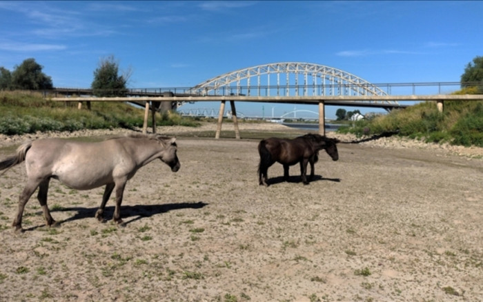 Châu Âu đang phải hứng chịu đợt hạn hán nghiêm trọng nhất trong vòng 500 năm qua Ảnh 2