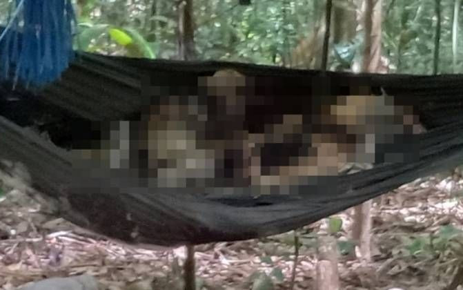 Vụ 2 bộ xương khô nằm trên võng giữa rừng: Người phát hiện đầu tiên kể lại phút giây gây ám ảnh Ảnh 2