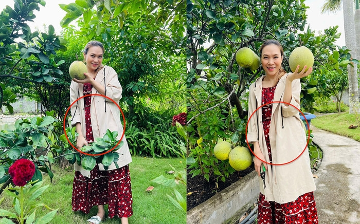 Mai Tài Phến vừa thông báo 'đã sẵn sàng', Mỹ Tâm lại bị nghi mang bầu Ảnh 2