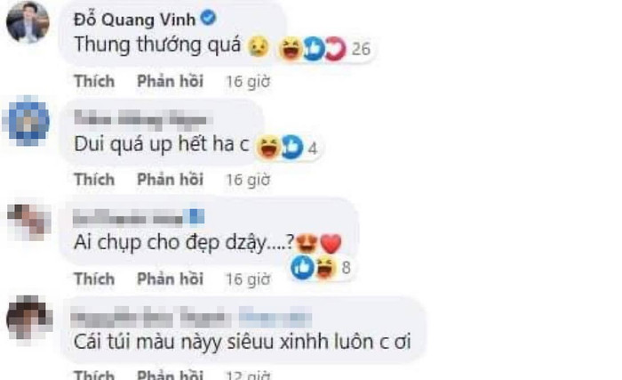 Bình luận của con trai Bầu Hiển dưới bức hình của Đỗ Mỹ Linh đã nhanh chóng thu hút sự chú ý của công chúng.