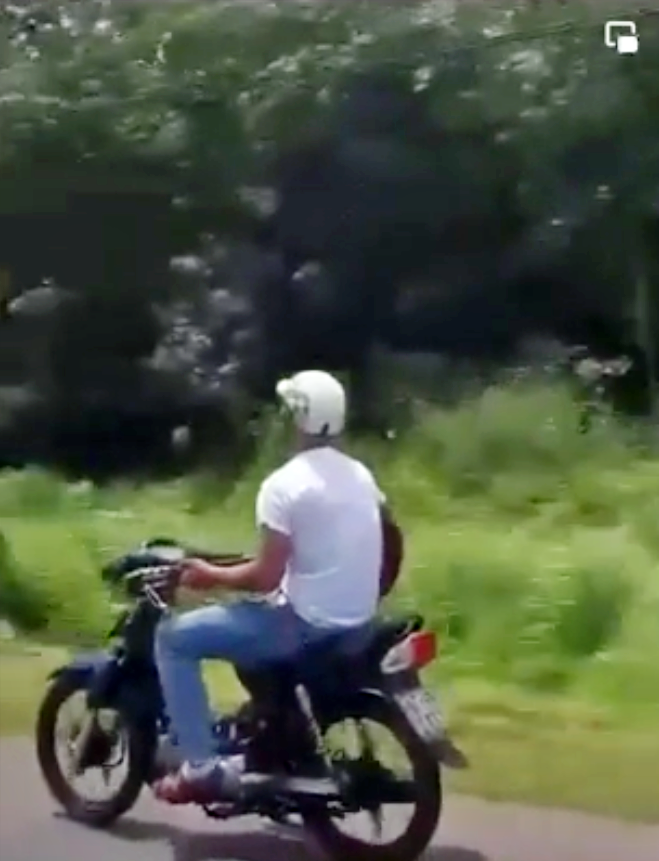 (Ảnh chụp màng hình clip).