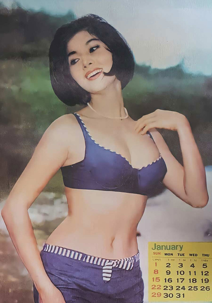 Nhan sắc gây thương nhớ một thời của minh tinh màn bạc Thẩm Thúy Hằng Ảnh 2