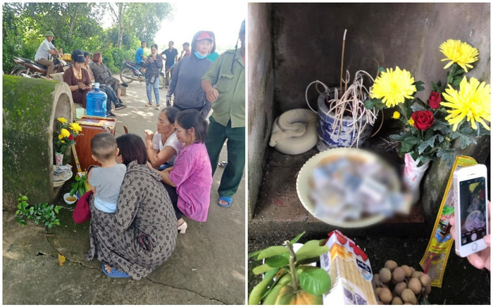 Nhiều người đến đình làng thắp hương vì thấy 'bạch xà': Nguồn gốc con trăn khiến nhiều người ngã ngửa Ảnh 2