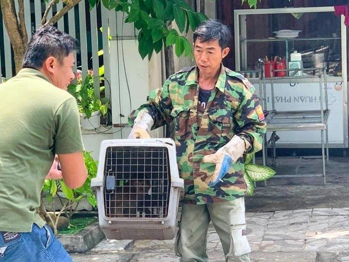 'Tề thiên' đại náo khu dân cư, tấn công trẻ em để xin ăn Ảnh 2