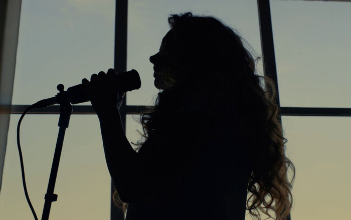 Một nữ ca sĩ nổi tiếng thông báo giải nghệ Ảnh 2