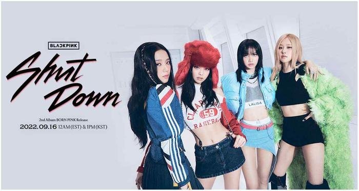 Ninh Dương Lan Ngọc u mê 'Shut Down' của BLACKPINK, còn định làm luôn MV phiên bản Việt? Ảnh 1