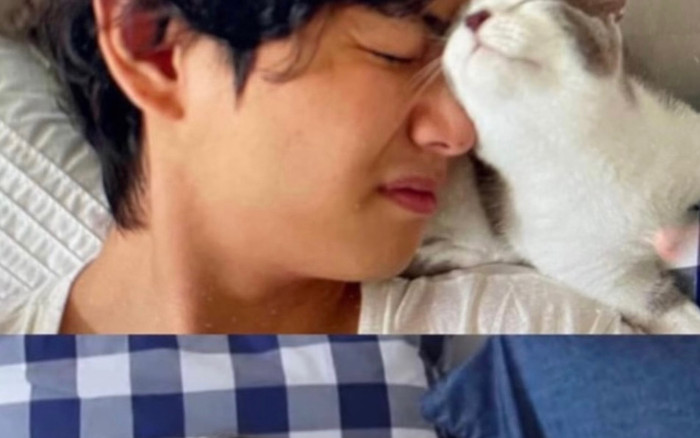 Lộ ảnh V (BTS) âu yếm mèo trên giường của Jennie (BLACKPINK)? Ảnh 2