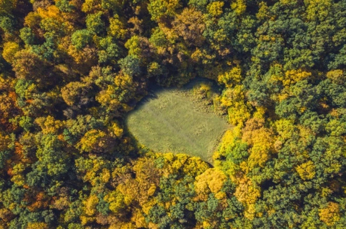 Khu rừng bí ẩn nhất thế giới được mệnh danh là 'tam giác quỷ' ở Romania Ảnh 2