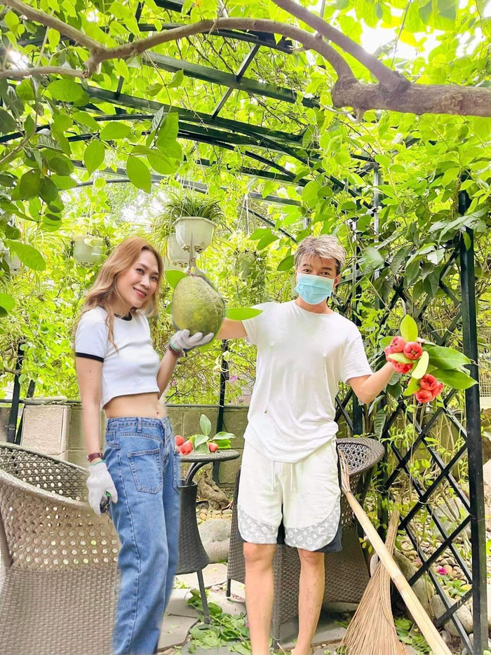 Ảnh fan ghép Đàm Vĩnh Hưng vừa chia sẻ.