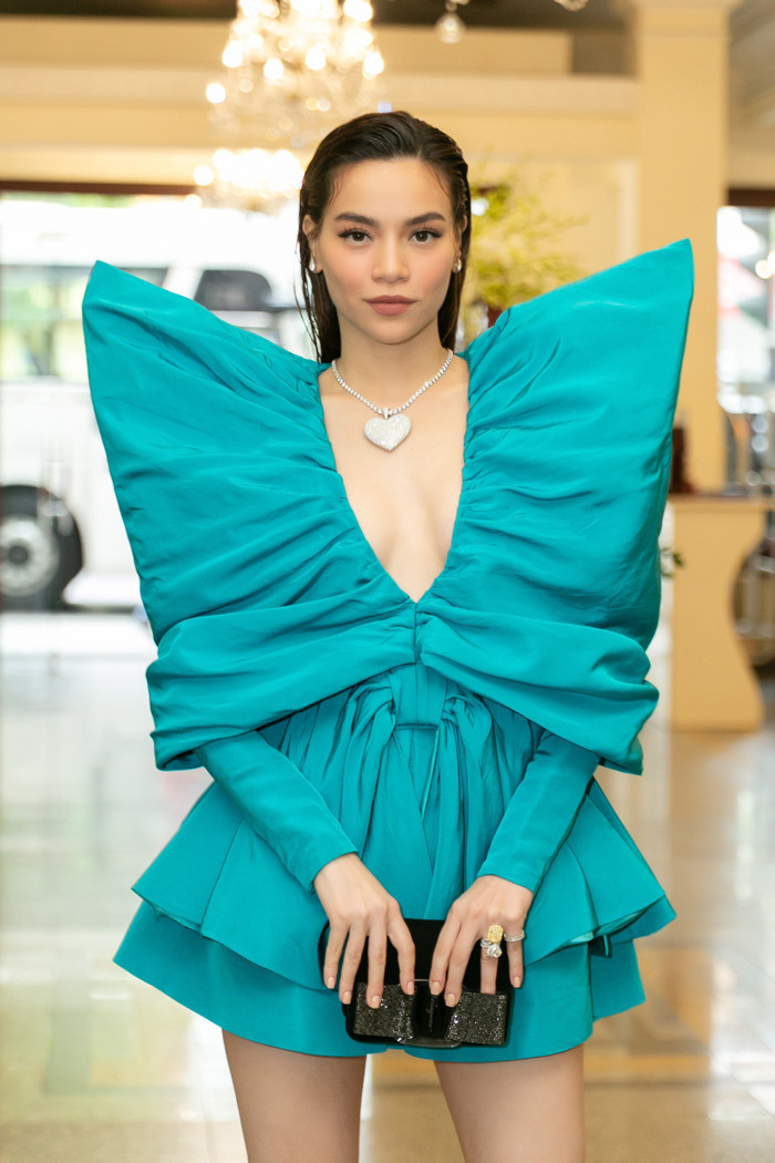 Hà Hồ sở hữu các đường nét gương mặt nhẹ nhàng, hài hòa.&nbsp;