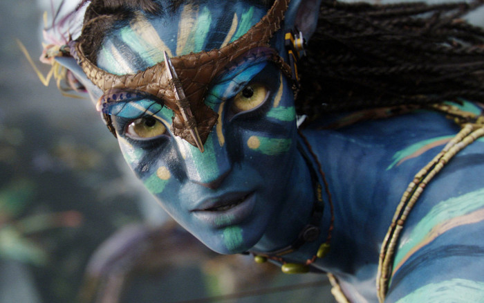 Những thông điệp mang tính thời sự trong phim Avatar sau 13 năm ra mắt vẫn không lỗi thời Ảnh 2