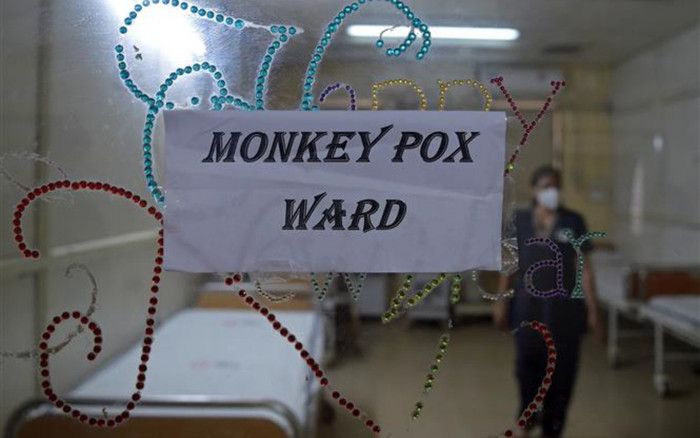 Việt Nam vừa ghi nhận ca đậu mùa khỉ đầu tiên tại TP HCM Ảnh 2