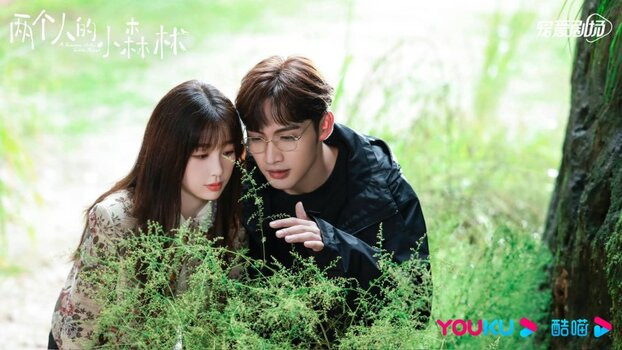 Tuy không đại bạo nhưng thành tích của phim khá ổn áp, chủ yếu do độ hot của Thương Lan Quyết từ trước đó.