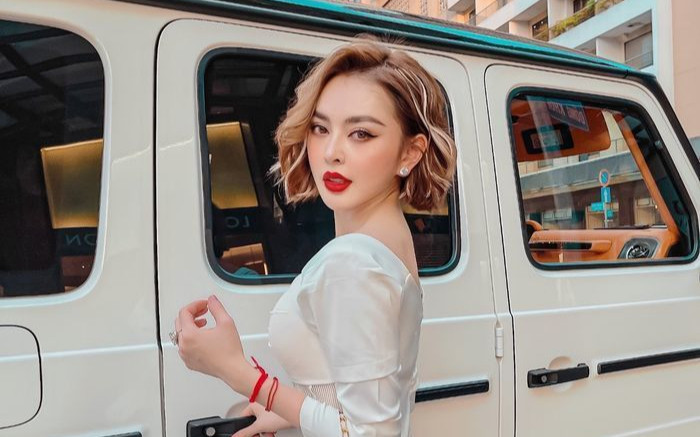 Truy tố Trang Nemo cùng đồng phạm về tội gây rối trật tự công cộng Ảnh 2