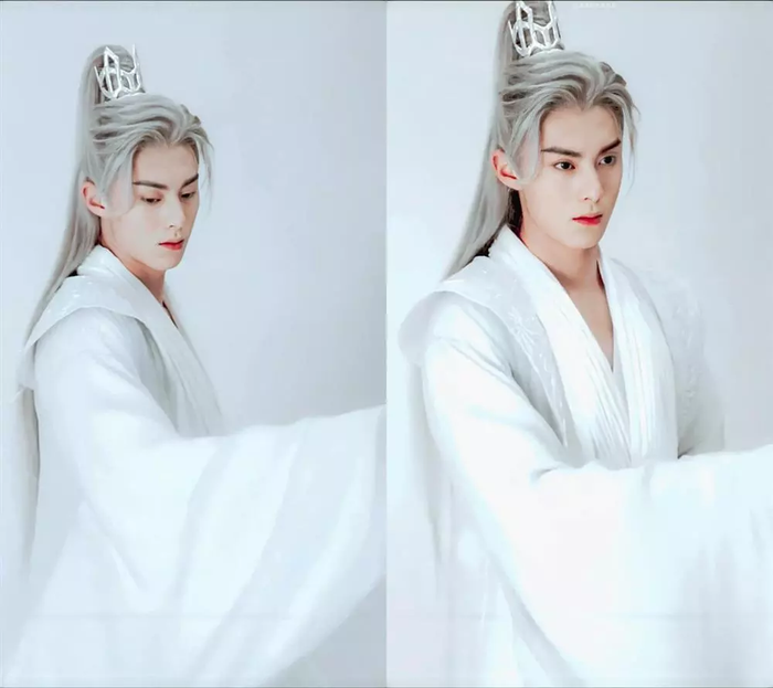 Vương Hạc Đệ từng nhận về không ít gạch đá vì nét diễn ma-nơ-canh. 