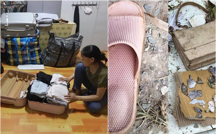 Gia đình Hải Như phối hợp với công an nhận dạng video hình ảnh, có sự xuất hiện của cô và người yêu cũ Ảnh 2