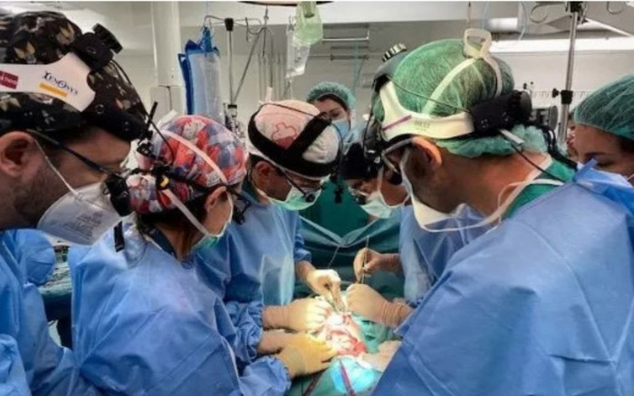 Em bé đầu tiên trên thế giới được ghép ruột từ người hiến tặng đã qua đời Ảnh 2