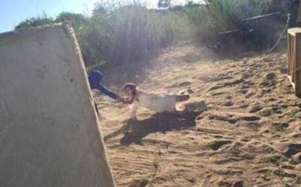 Triệu Lệ Dĩnh từng tự hành hạ bản thân trong quá khứ tới mức vết thương vẫn còn lưu lại đến hiện tại Ảnh 2