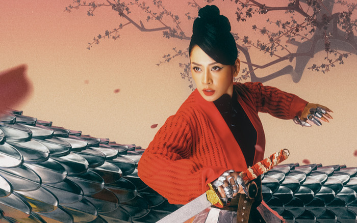 Chi Pu tung toàn bộ poster của các sản phẩm không phát hành khiến người hâm mộ tiếc hùi hụi Ảnh 2