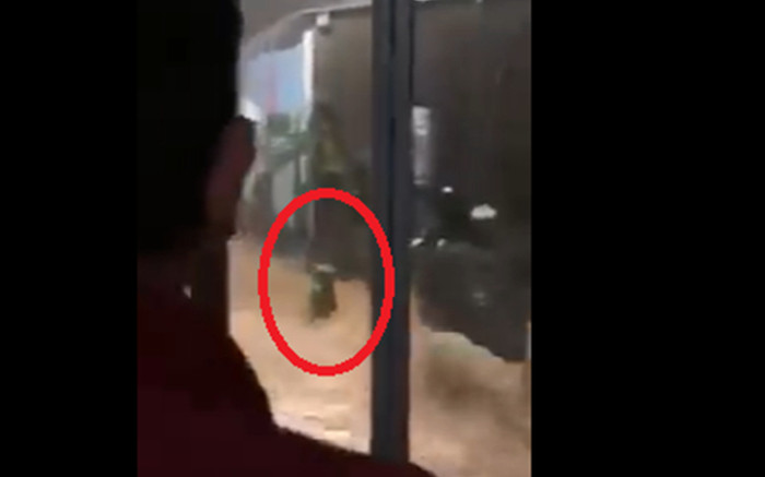 Thót tim khoảnh khắc người dân bị nước lũ cuốn trôi trên đường ở Đà Nẵng Ảnh 2