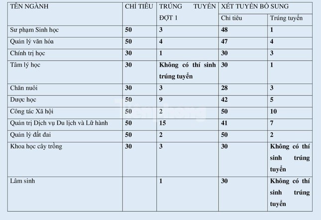 Tuyển sinh đại học 2022: Nhiều ngành 'trắng' thí sinh Ảnh 2