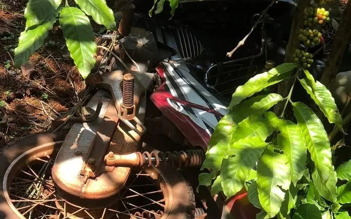 Đi làm trong rẫy cà phê, người dân phát hiện điều kinh hoàng Ảnh 2