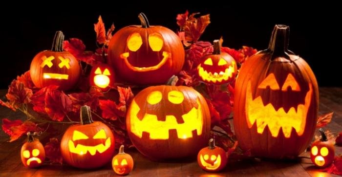 Bí ngô được chọn là biểu tượng trong dịp lễ Halloween, câu chuyện kỳ bí phía sau không phải ai cũng biết Ảnh 1